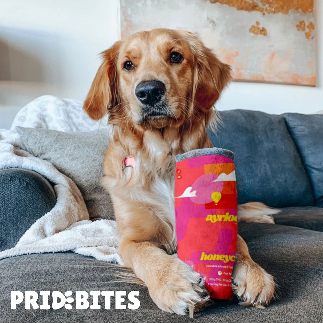 PrideBites honeycrisp plush can dog toy