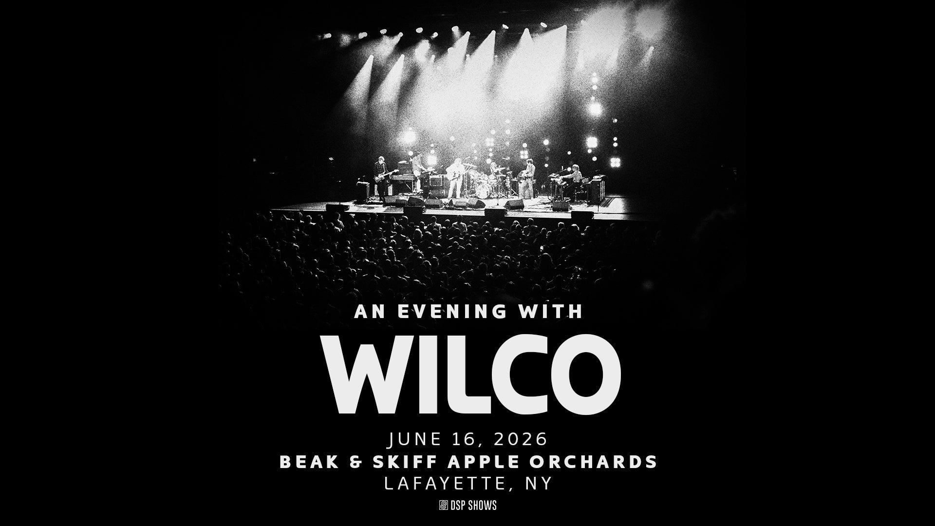 an evening with wilco