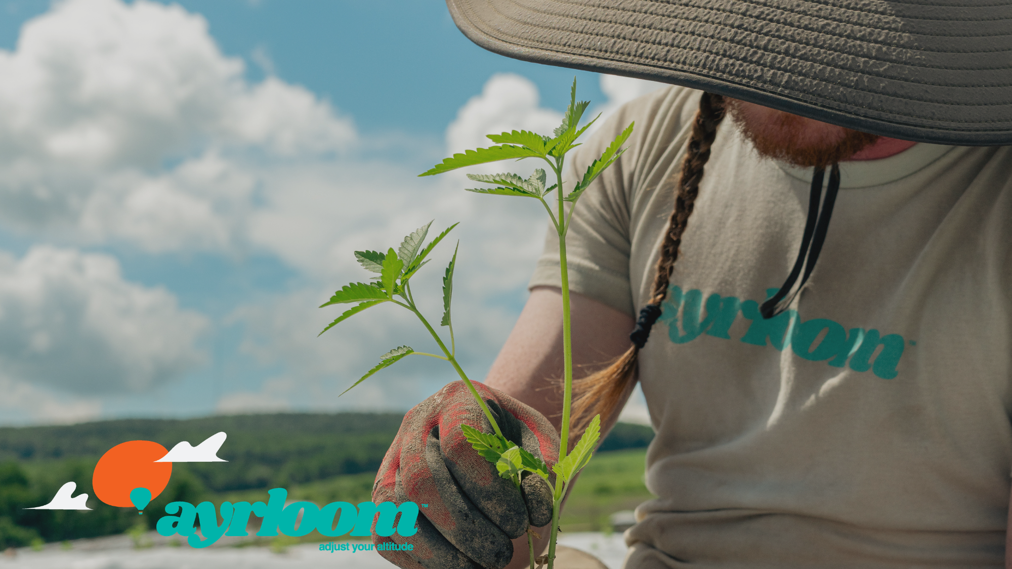 greenway magazine: 
