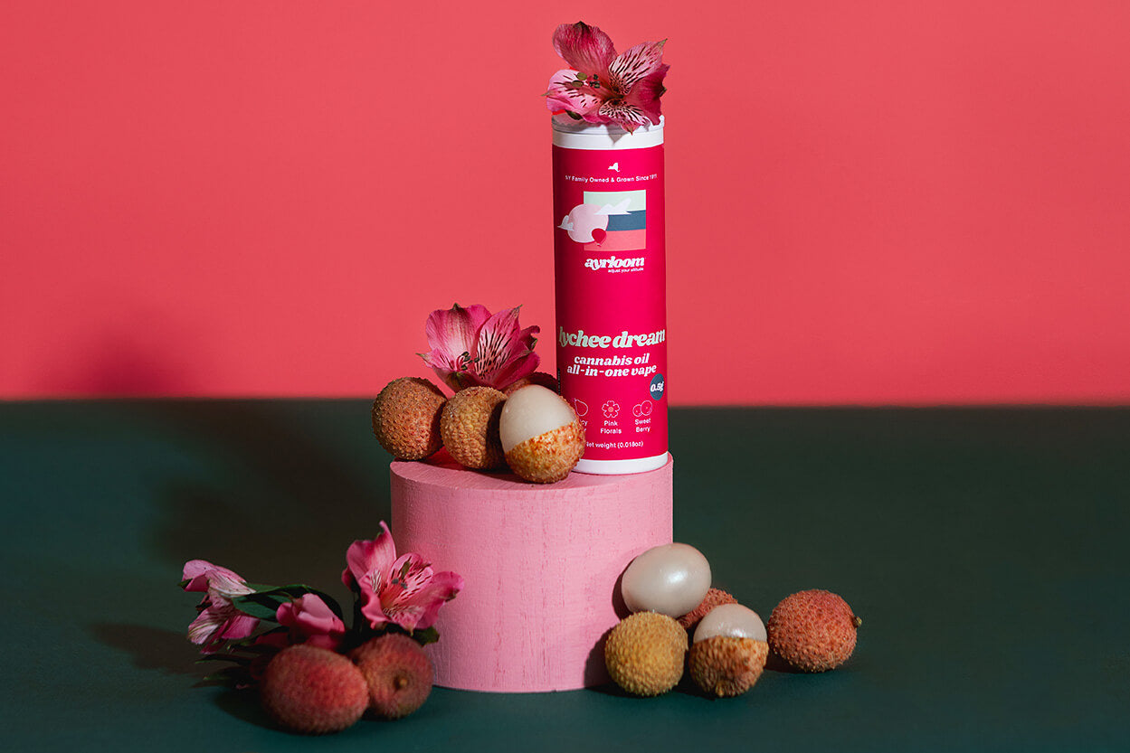 lychee dream ayrloom-store lychee dream ayrloom-store