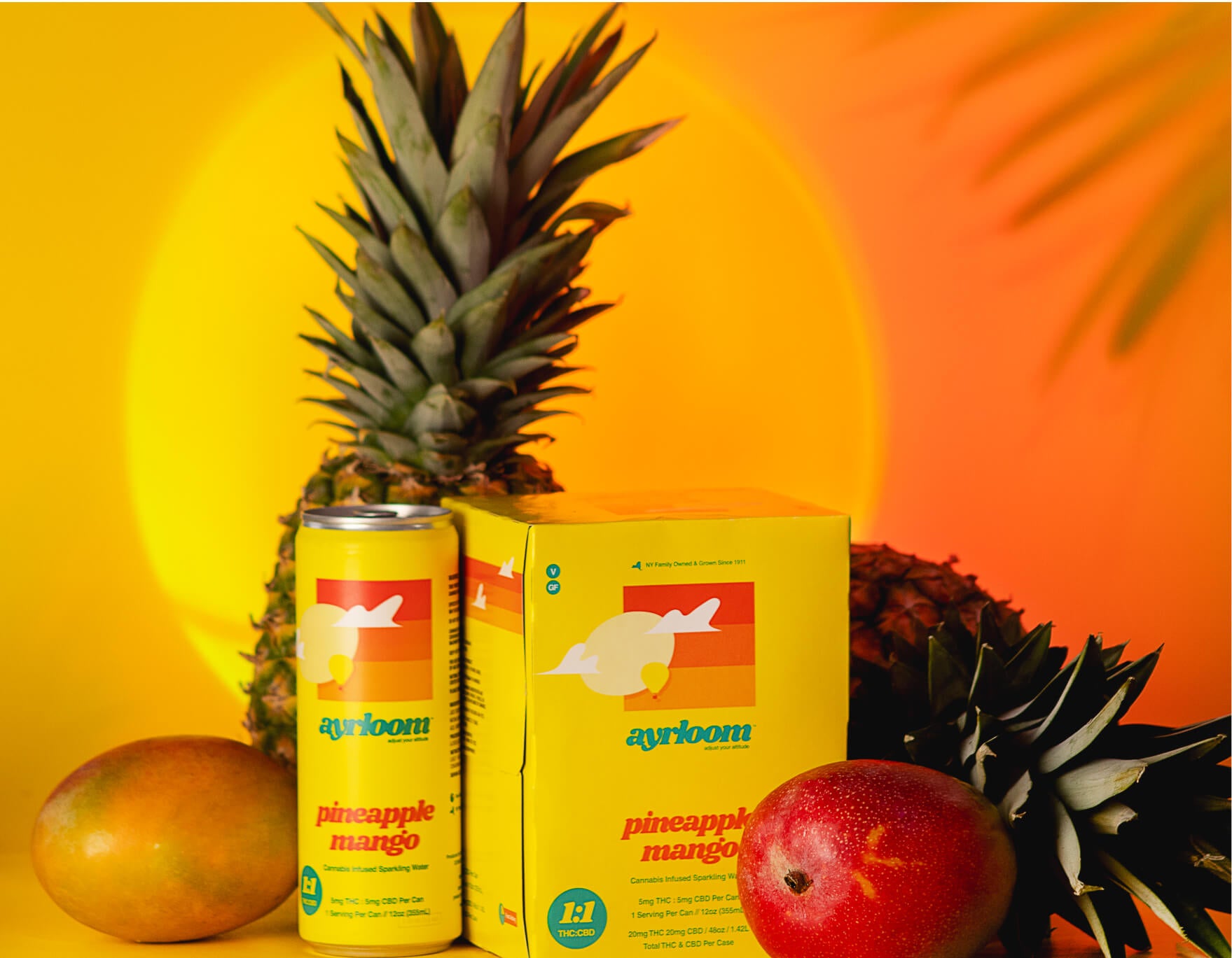 Background pineapple mango